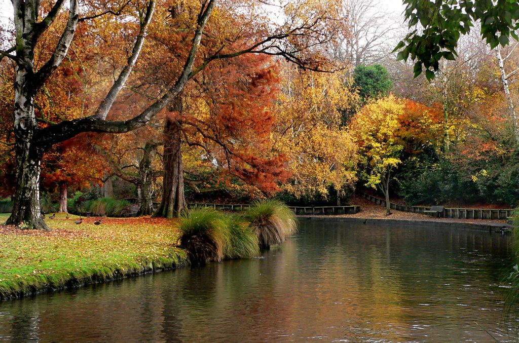 Hagley Park